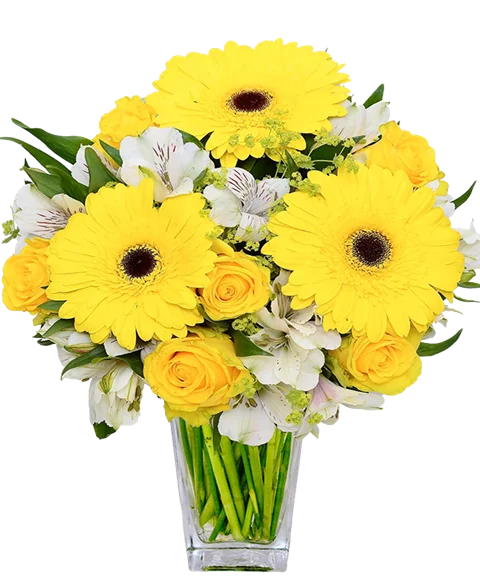 Bouquet giallo e bianco
