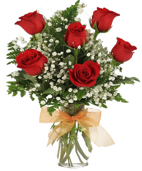 6 rose rosse a bocciolo grande con gypsophila e verde decorativo